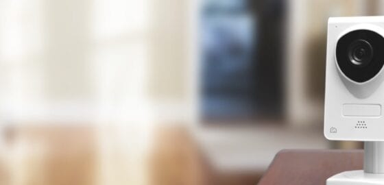 (D)保护美国品牌Page Hero-min